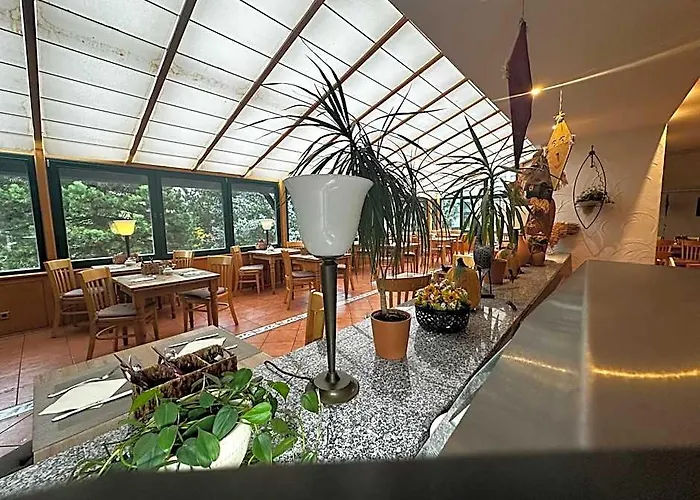 Hotels in Friedrichsbrunn