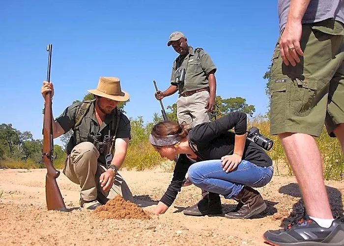 Kruger National Park Hotels