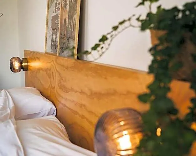 Hotels in Tholen