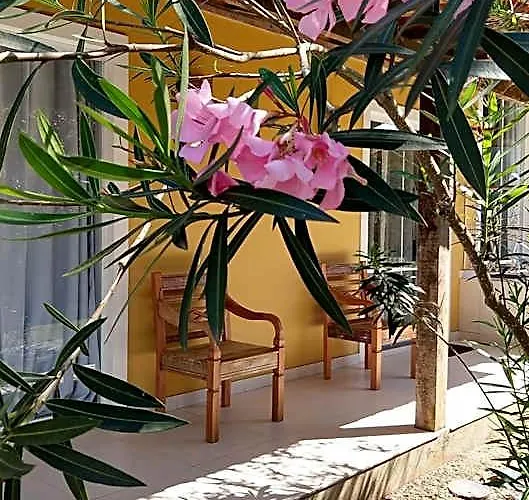 Aloha Itauna