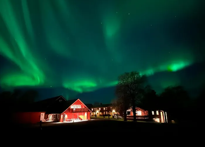 Steinkjer Hotels