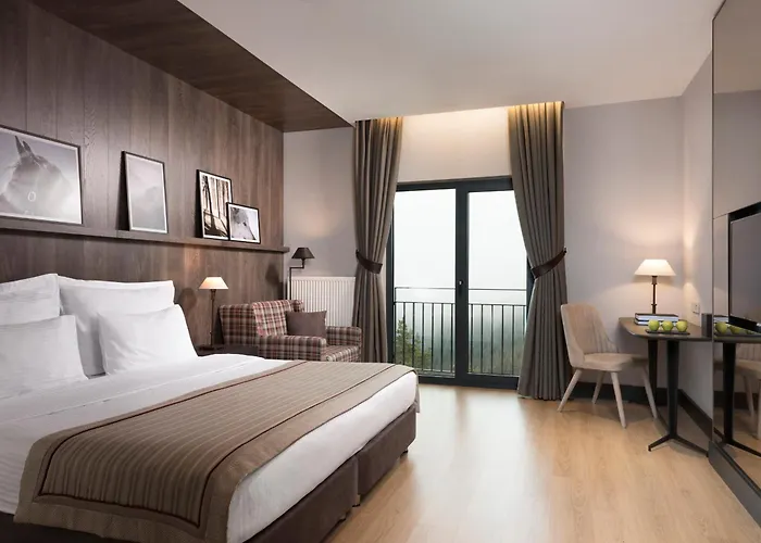 Ilgaz Hotels