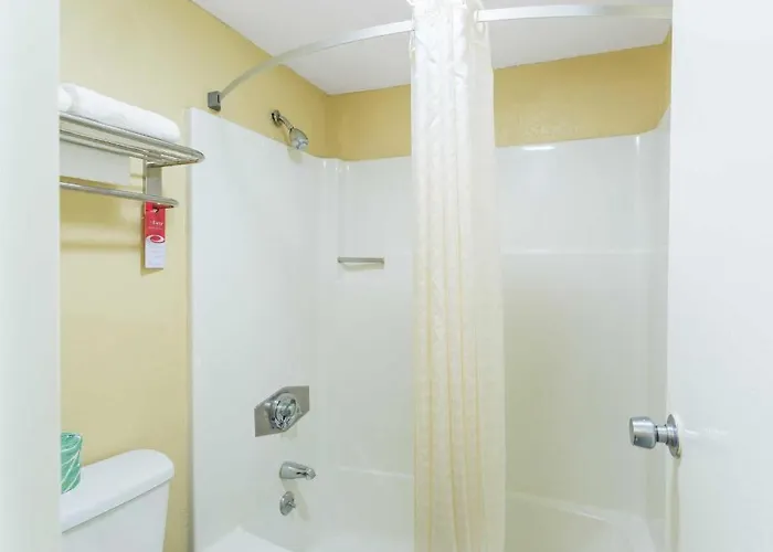 White Pine Hotels