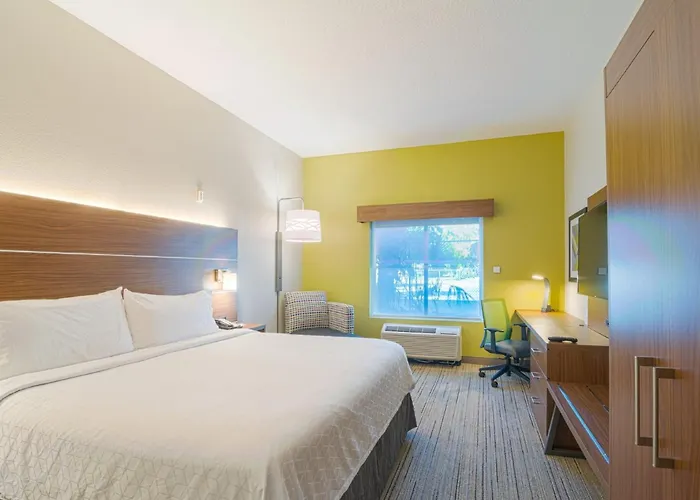 Holiday Inn Express Hotel&Suites Tampa-USF-Busch Gardens, an IHG Hotel