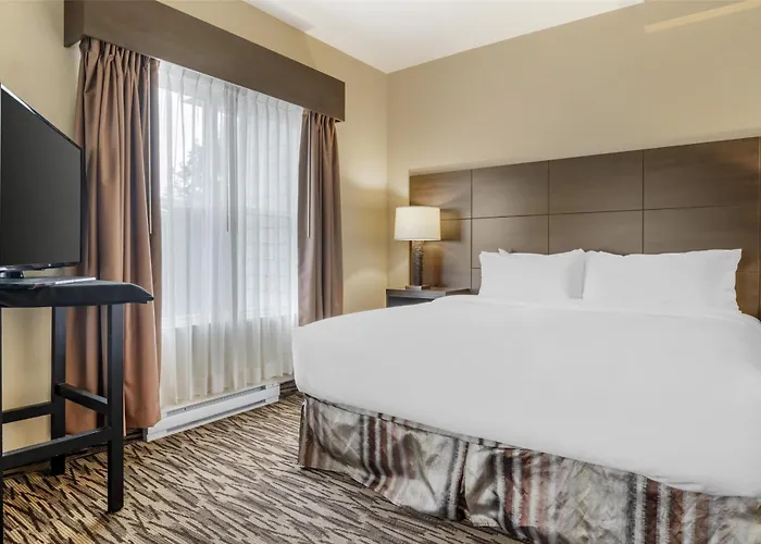 Bridgewater Hotels