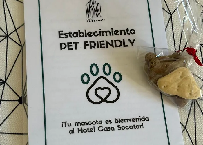 Hotel Casa Socotor
