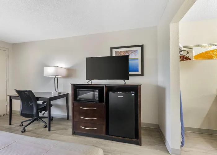 Live Oak Hotels