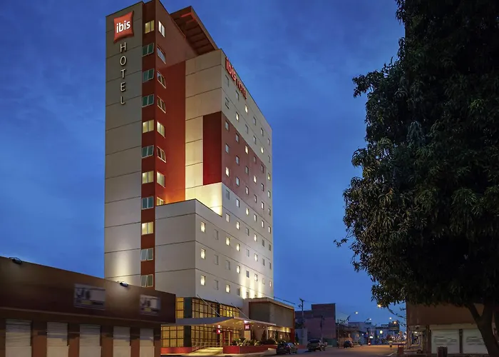 Ibis Imperatriz
