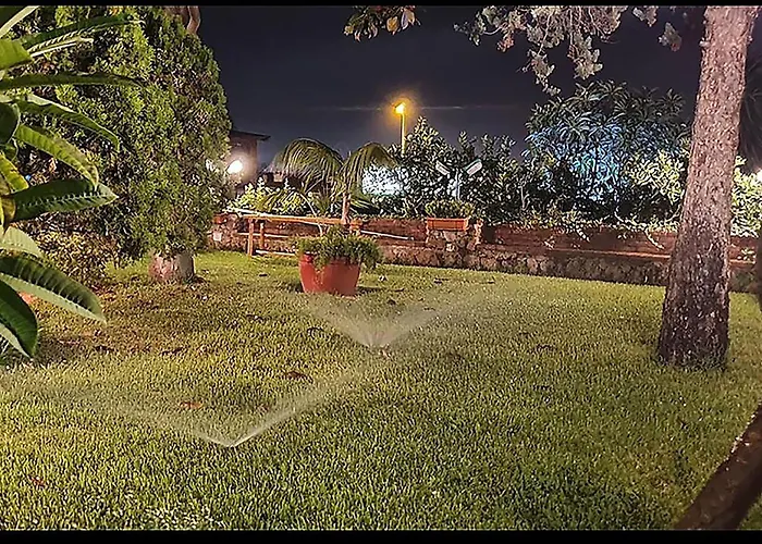 Small Paradise Palermo