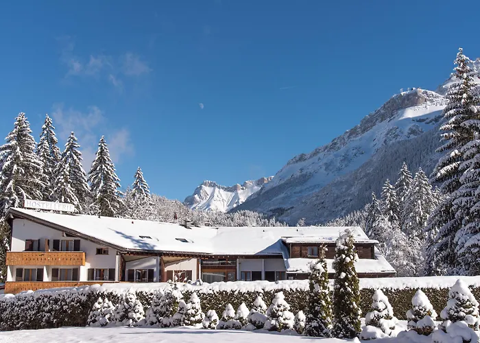 Hôtel Les Sources Les Diablerets