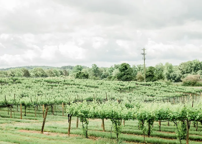 Dahlonega Resort And Vineyard