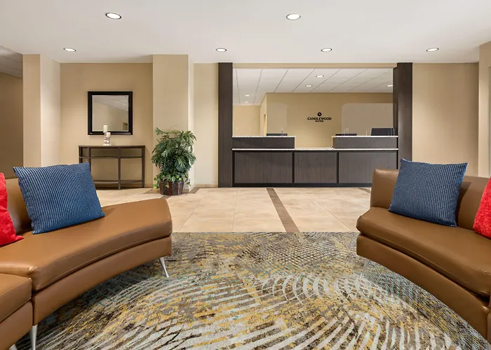 Safety Harbor Hotels