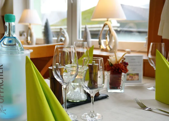 Hotel Elbparadies Pirna