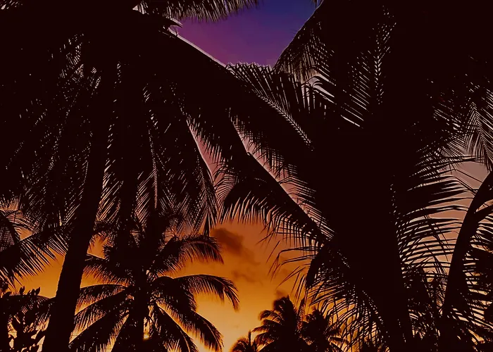 Hotels in Caye Caulker