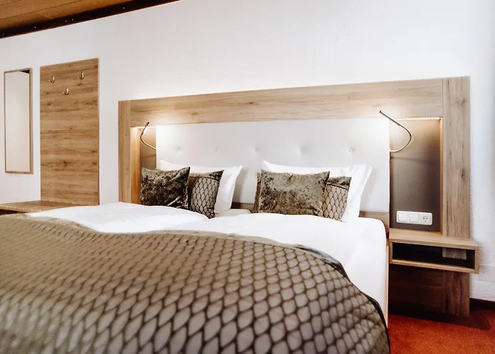 Hotels in Frauenstein (Saxony)