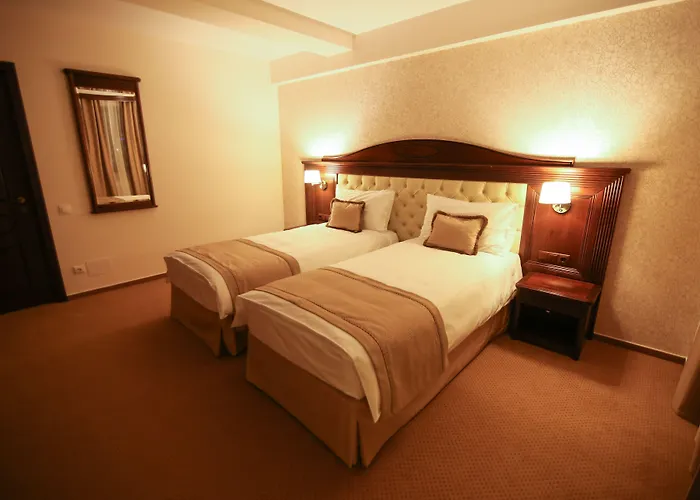 Predeal Hotels