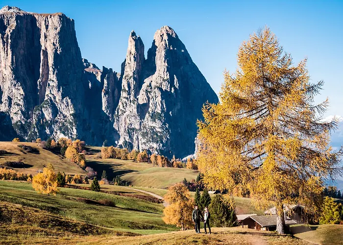 Hotel Steger-Dellai Seiser Alm