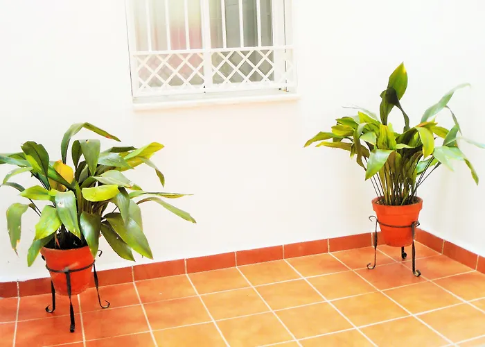 Bed and Breakfast Martin House & Granada
