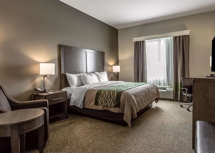 Snyder Hotels