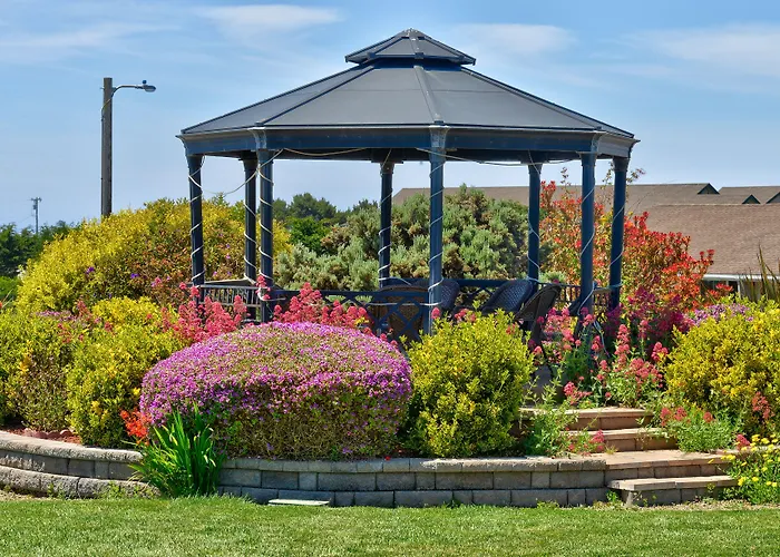Surf Motel And Gardens