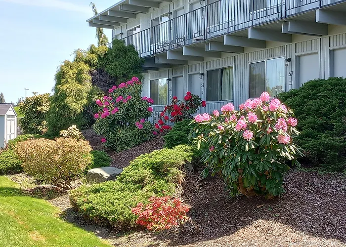Cocusa Motel Burlington