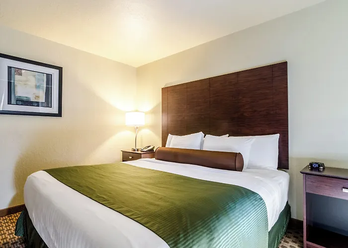 Cambridge Hotels