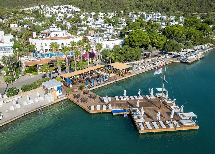 Hotels in Torba