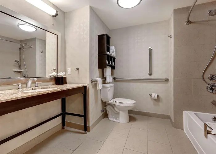 Hampton Inn & Suites Tampa Northwest/Oldsmar