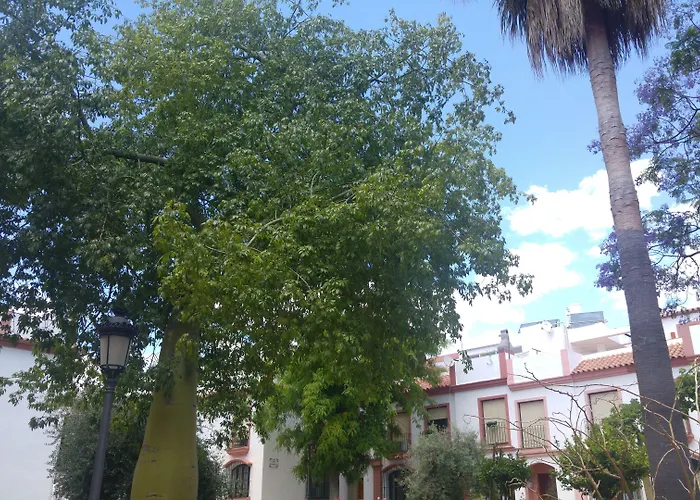Hospederia V Centenario Estepona