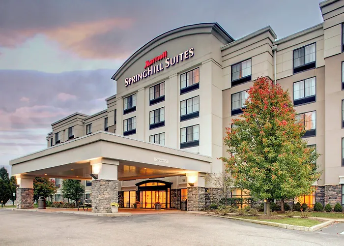 Springhill Suites By Marriott Wheeling Triadelphia Area