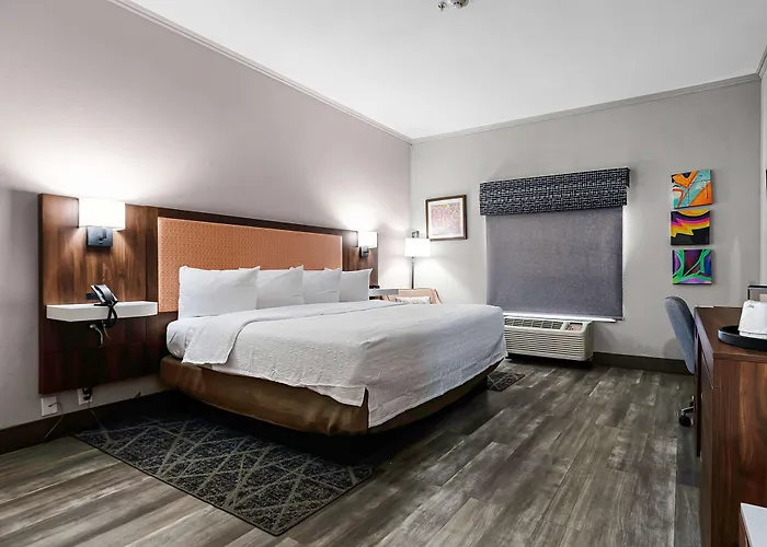 Hampton Inn Seguin
