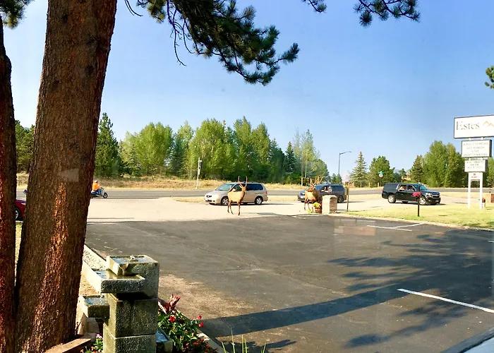 Estes Mountain Inn