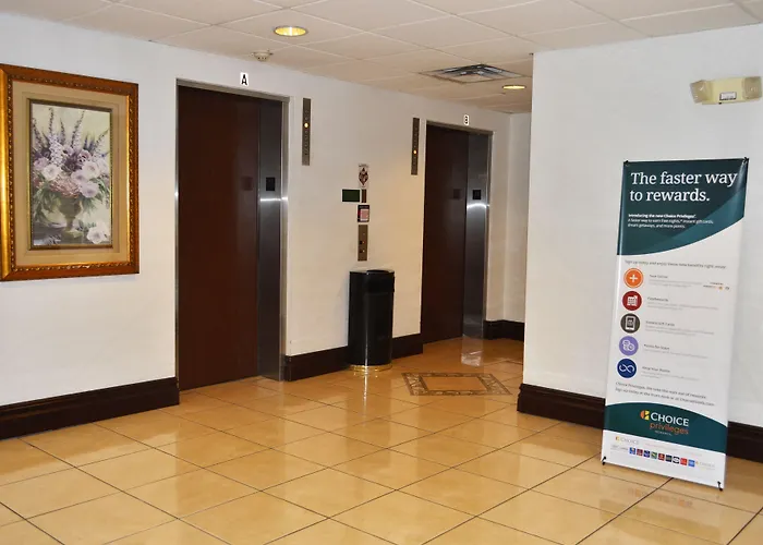 Comfort Inn St Petersburg North