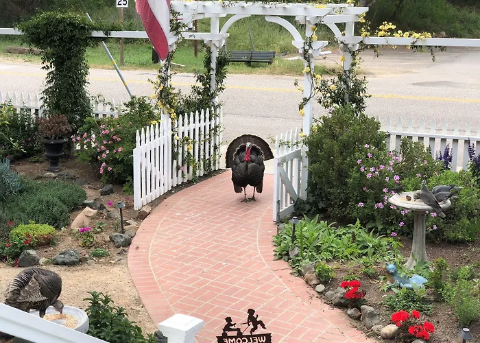 Olallieberry Inn Bed And Breakfast Cambria