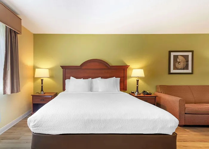 Best Western York Inn