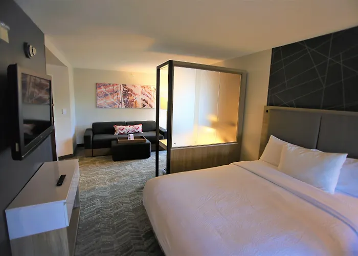 Springhill Suites Edgewood Aberdeen Bel Air