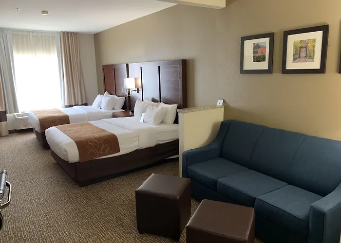 Comfort Suites Auburn Near I-69