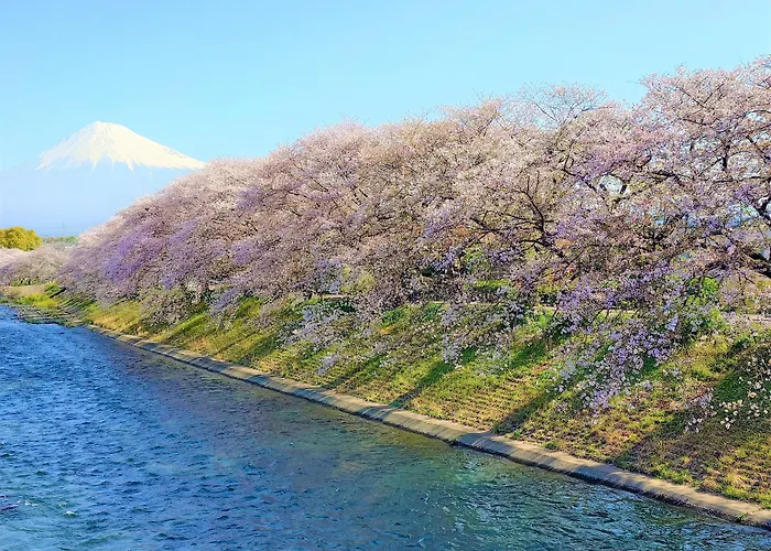 Hotels in Shizuoka