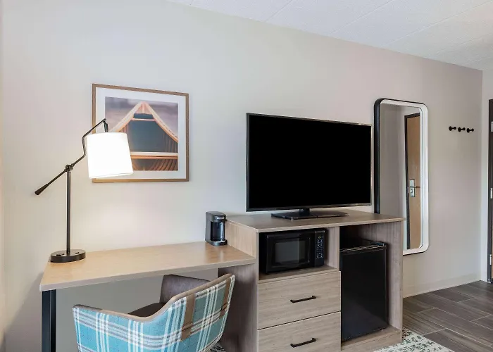Proctor Hotels