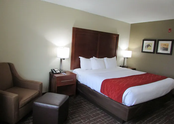 Comfort Inn Wichita Falls Near University