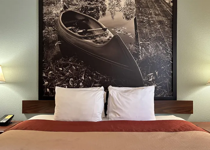 Staunton Hotels