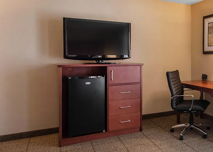 Comfort Inn & Suites Near Fallon Naval Air Station