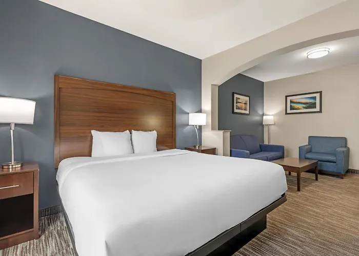 Lake Dallas Hotels