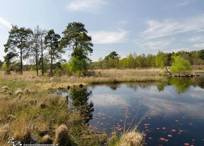 De Roermondse beleving