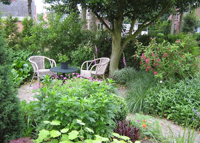 B&B De Esdoorn Norg