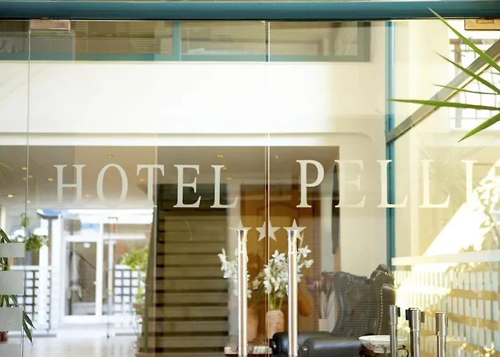 Pelli Hotel Pefkochori