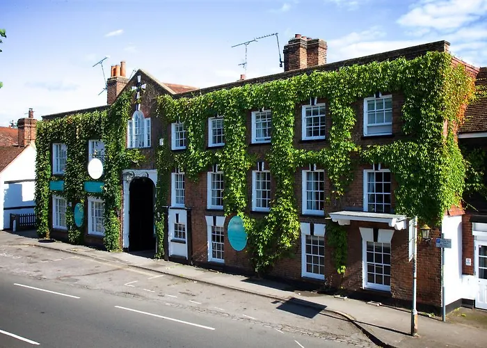 Hotels in Woking
