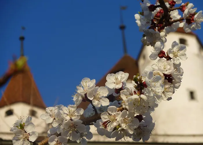 Thun Hotels