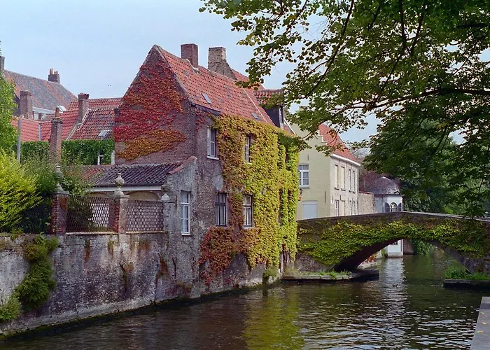 Csar Private Guesthouse Brujas