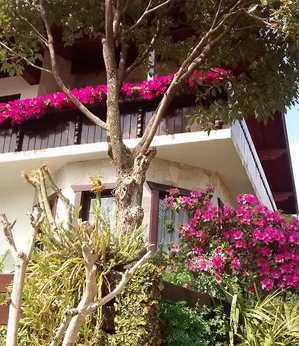 Hospedaria Gãstehaus Enzian Treze Tílias